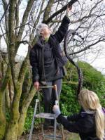 Karen helps Fiona Maher with her installation